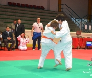 trofeo-sesto-s-giovanni-2012_306